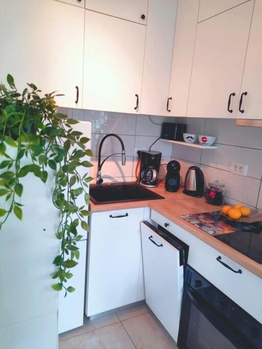 Apartman Nane Солин Екстериор снимка